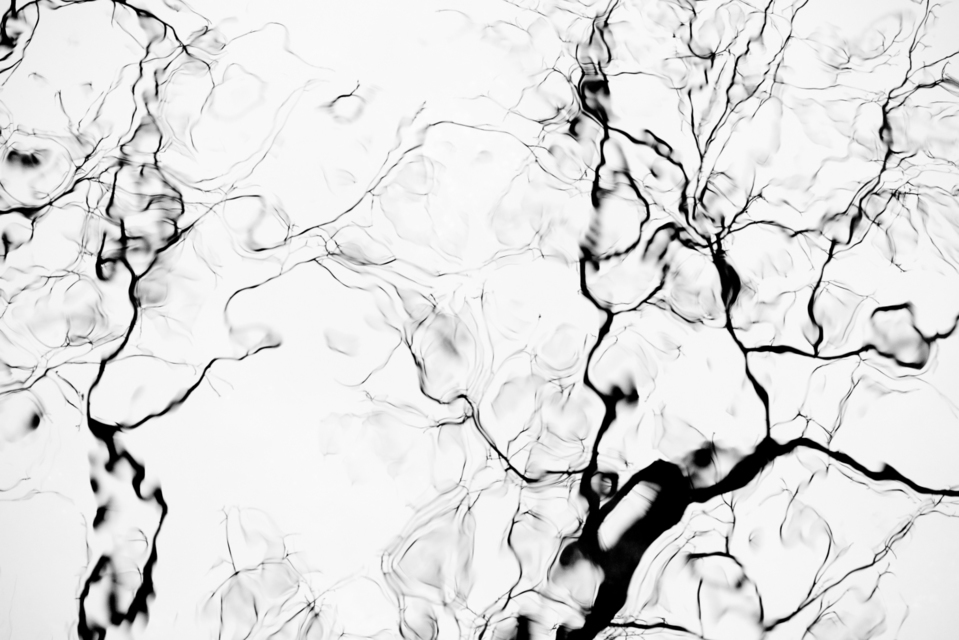 Traces on Water II - ID 003299