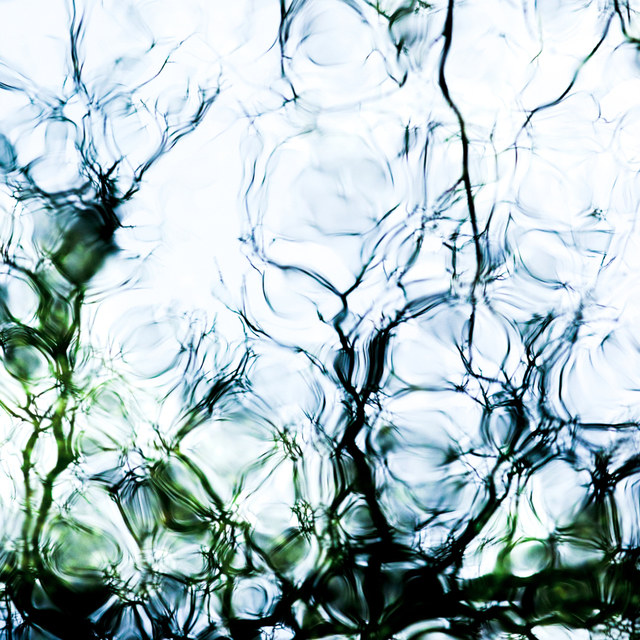 Traces on Water V - ID 003302