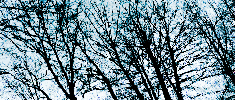 Water Impression III - ID 003305