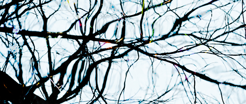 Water Impression IV - ID 003306