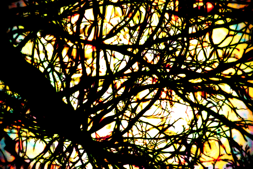 Water Impression V - ID 003307