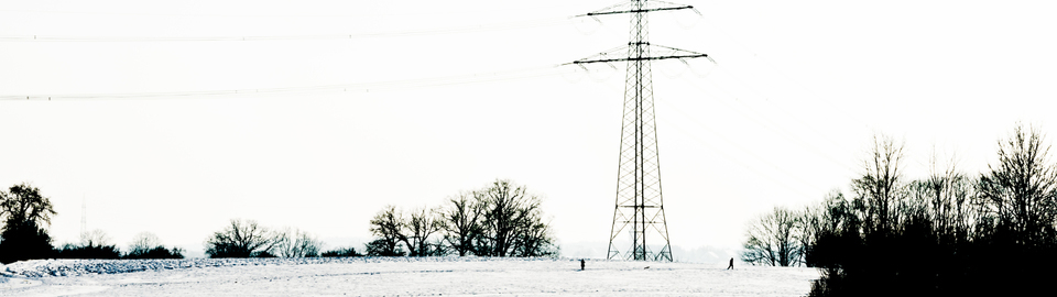 Two Men and a Dog - ID 003339