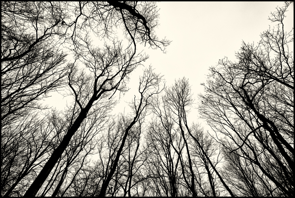 Iller Sky II - ID 003363