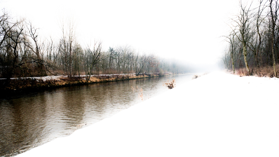 Fading White - ID 003366