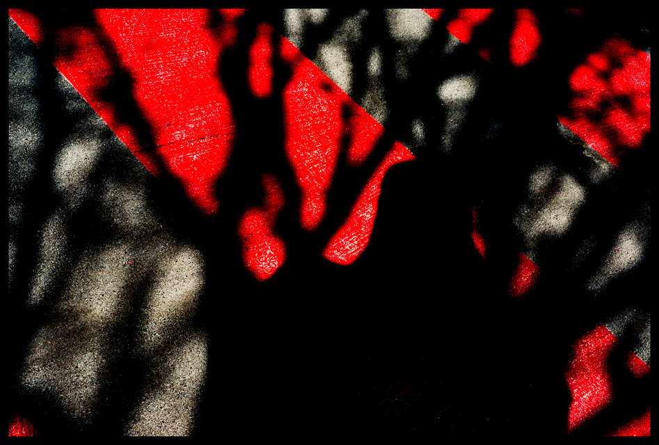 Shadow on Red II - ID 003451