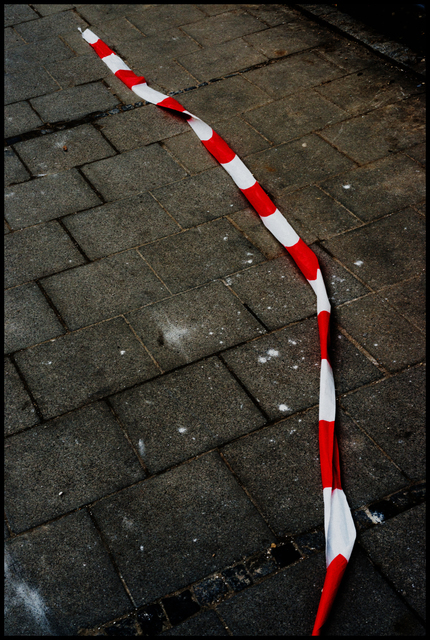 Ribbon II - ID 003483