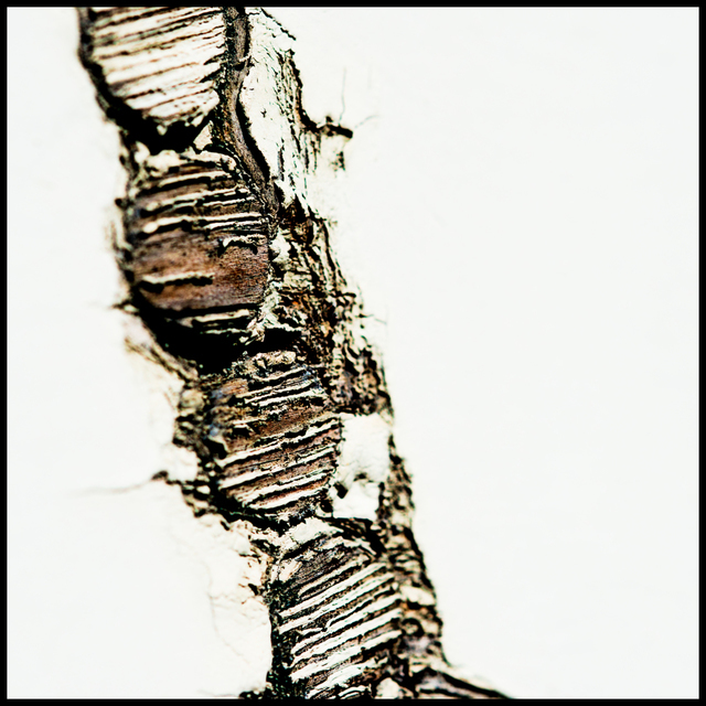 Broken Surface II - ID 003490