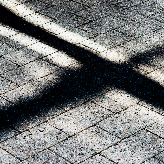 Light and Shadow I - ID 003510