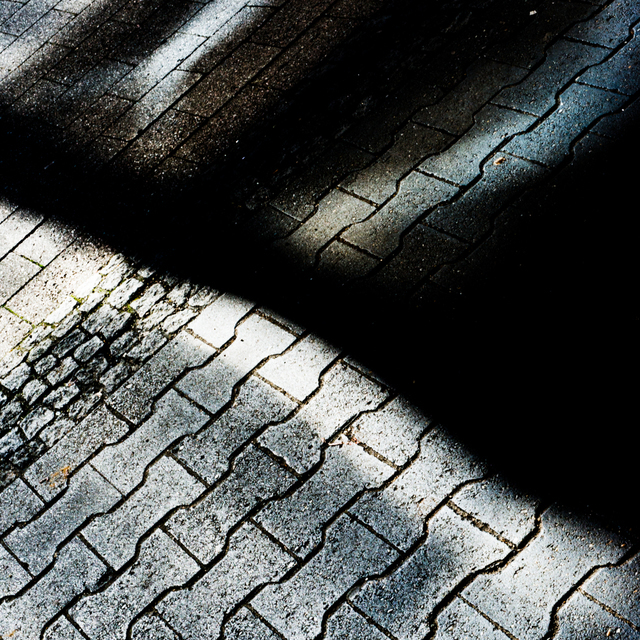 Dark Lights and Shadows V - ID 003518