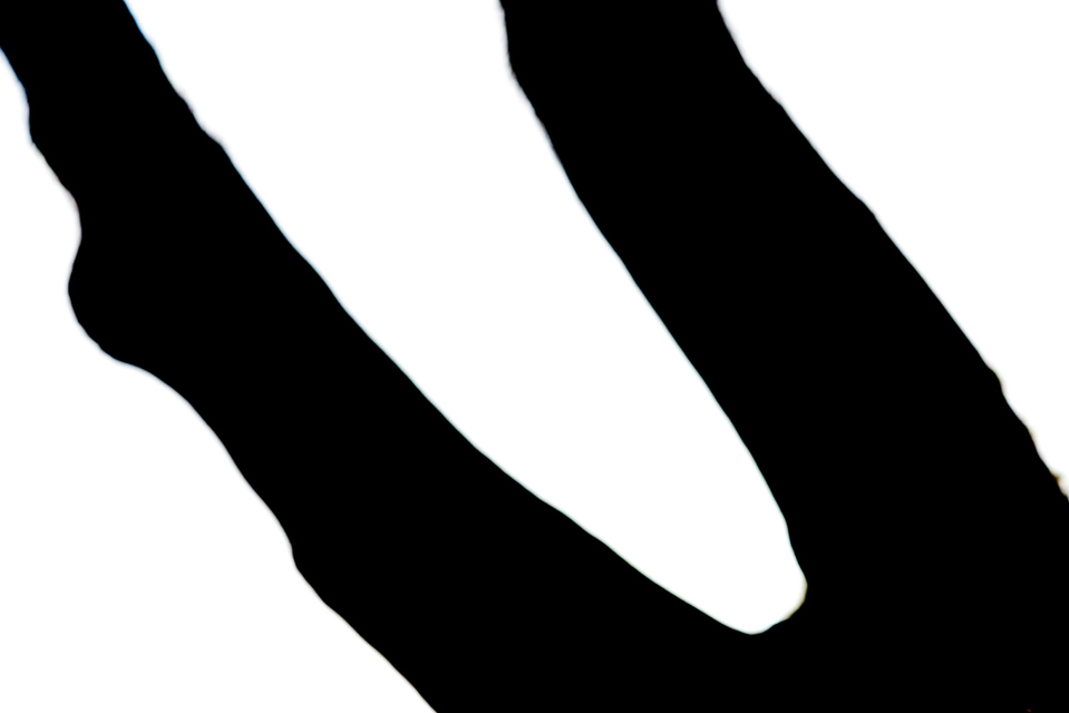 Out of Focus III - ID 003534