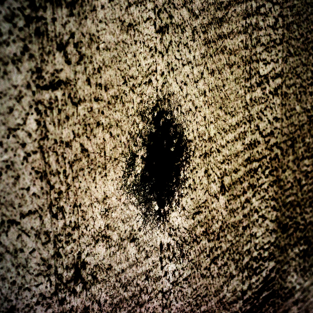 Dirt on White I - ID 003559