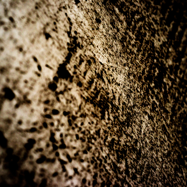 Dirt on White II - ID 003560