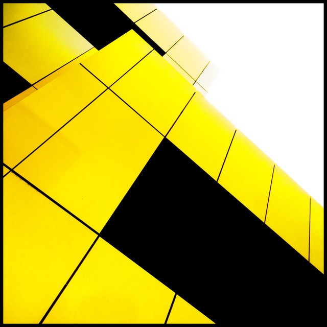 Yellow School Colors - ID 003595