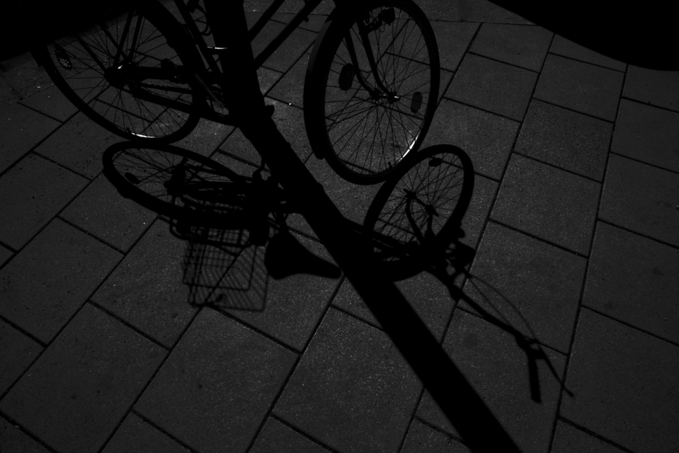 Dark Day II - ID 003619