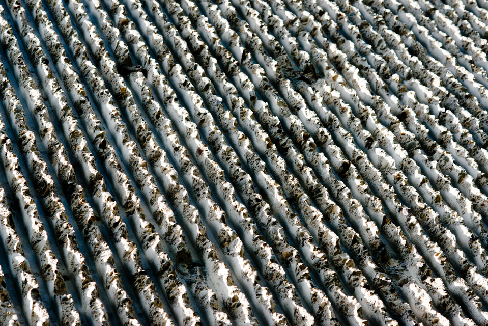 Rough Surface V - ID 003675