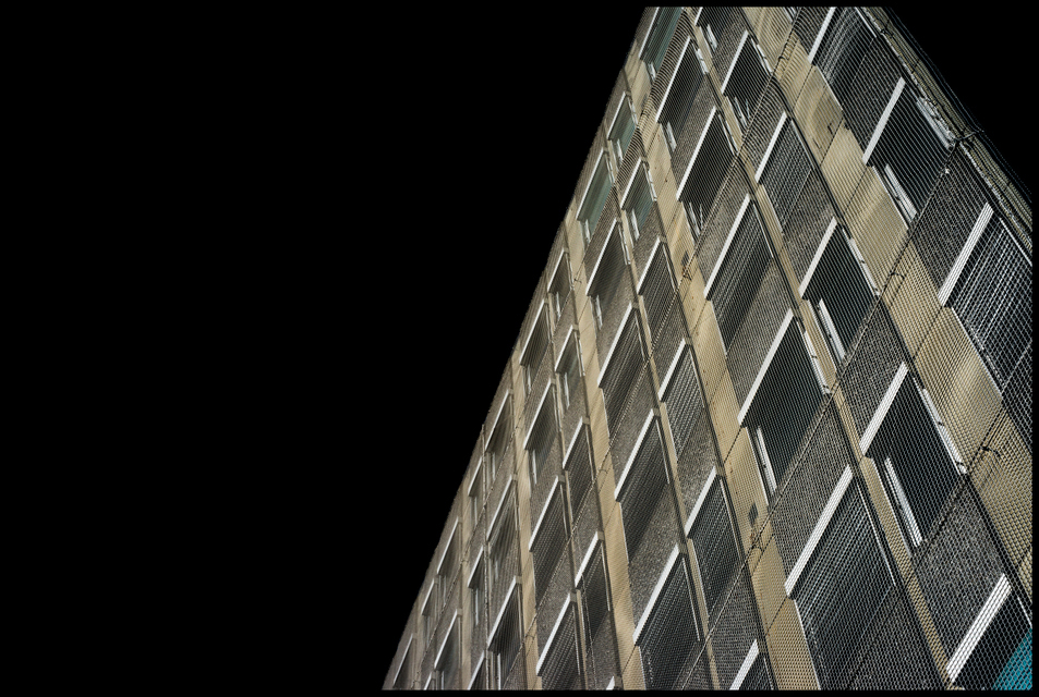 In the Net III - ID 003686