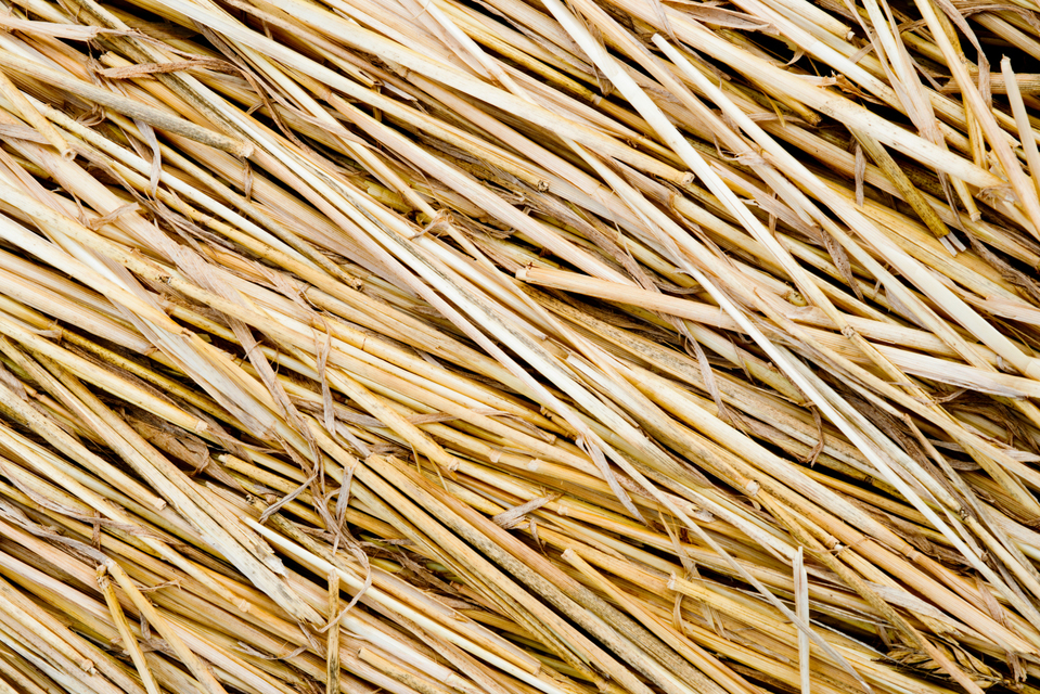 Lay Down Staw - ID 003775