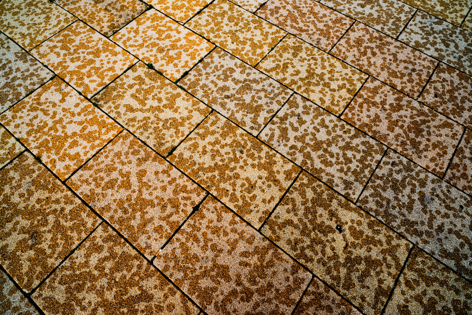 Rain Drops - ID 003842