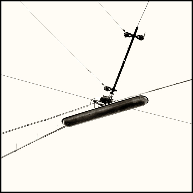 Black Spider - ID 003872