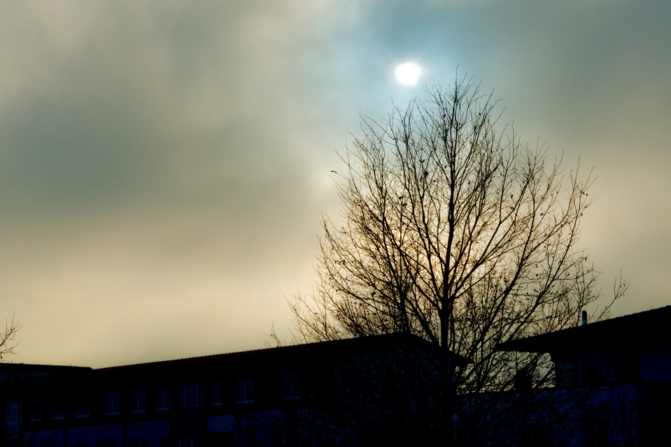 Suburb Sun - ID 003932