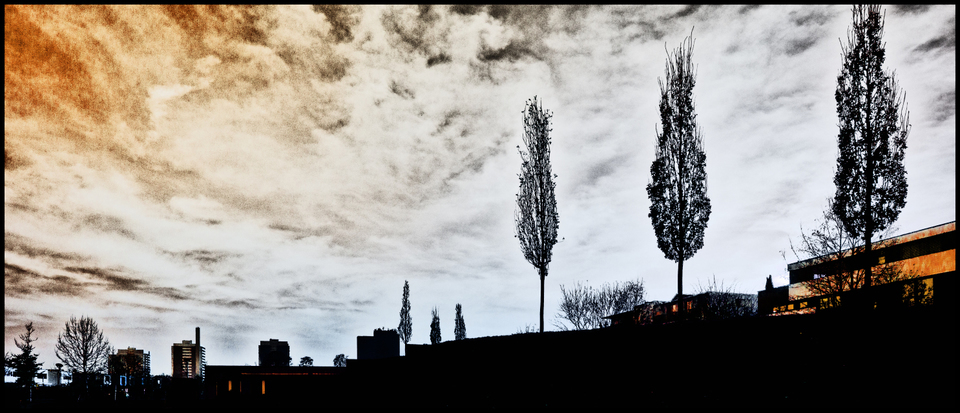 Suburb Skyline - ID 003942