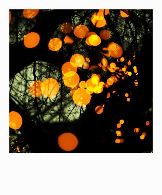 Winter Lights - ID 003975