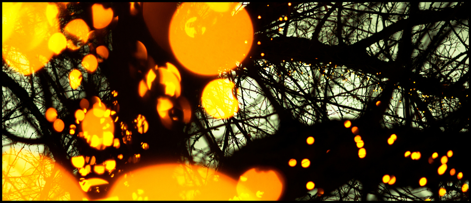 Breadcrumb Lights - ID 003976