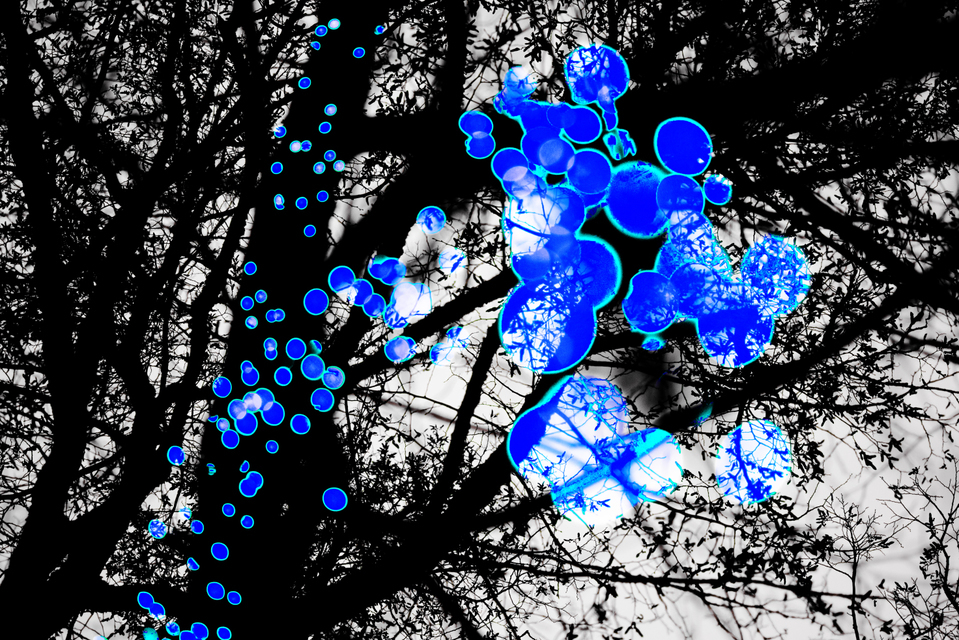 Blue Lights II - ID 003980