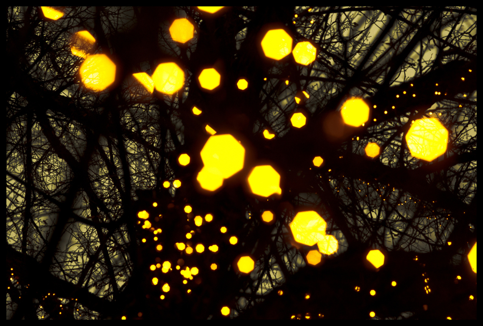 Yellow Lights - ID 003984