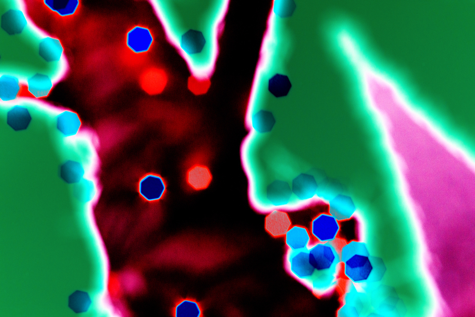 Heptagon Minster - ID 003991