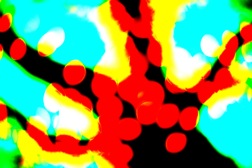 Branch Arms - ID 003994