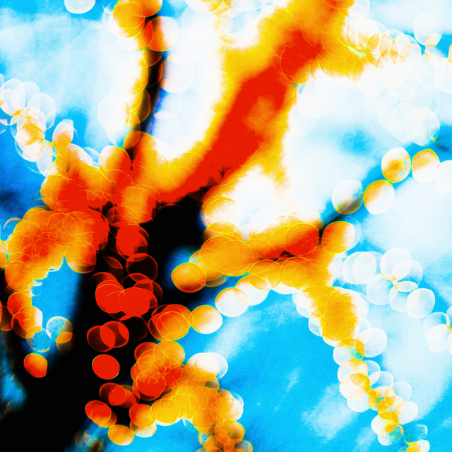 Chained Lights - ID 003998