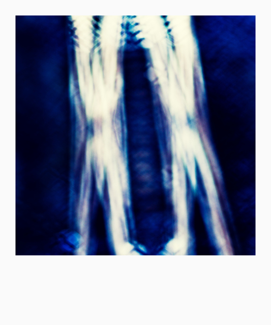 Double Crossing - ID 004035