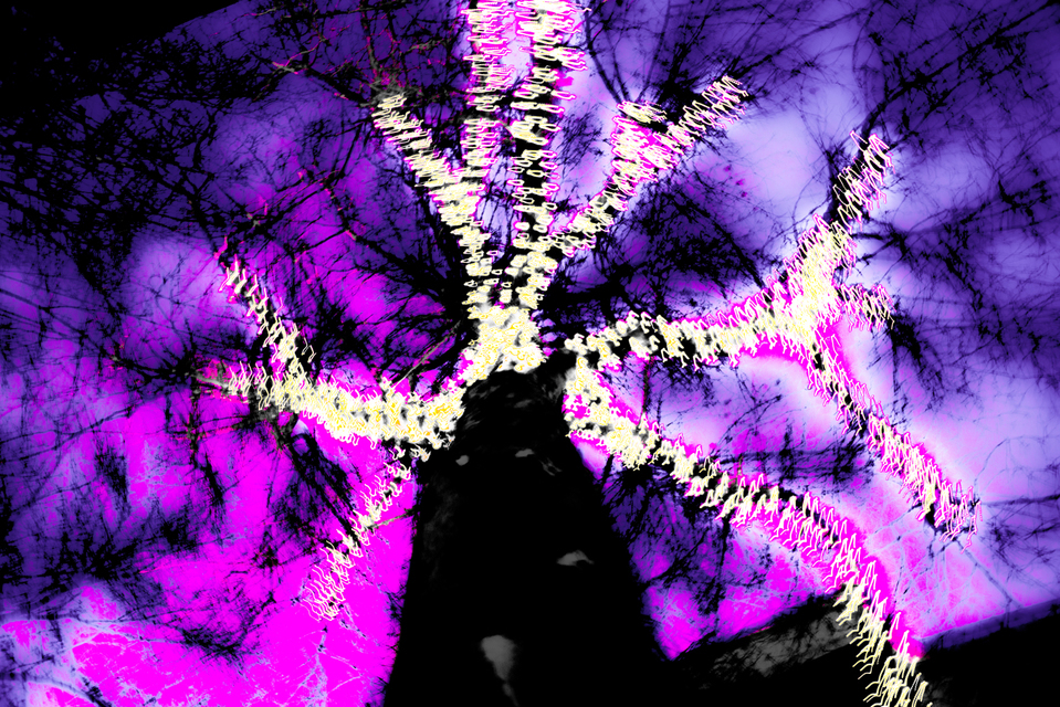 Windmill of Minds II - ID 004045