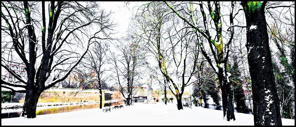 Winter Island - ID 004055