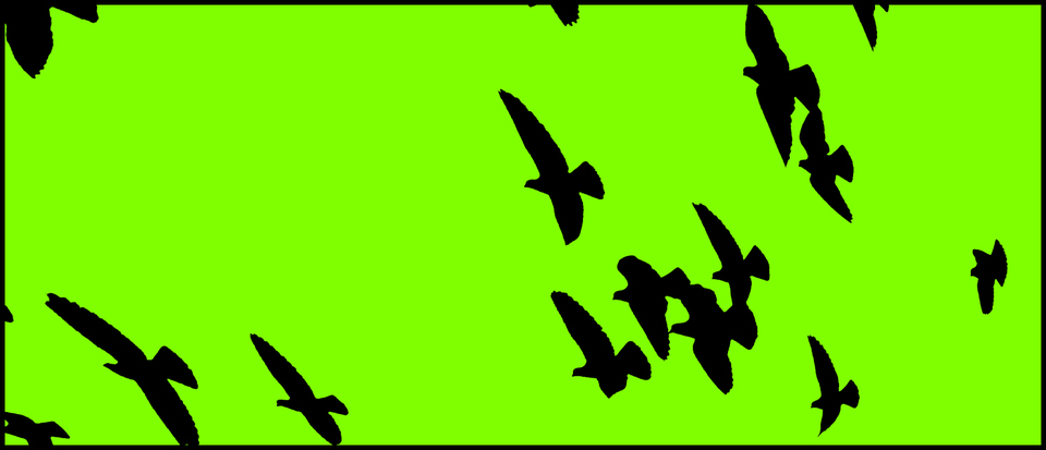 Birds Formation - ID 004092