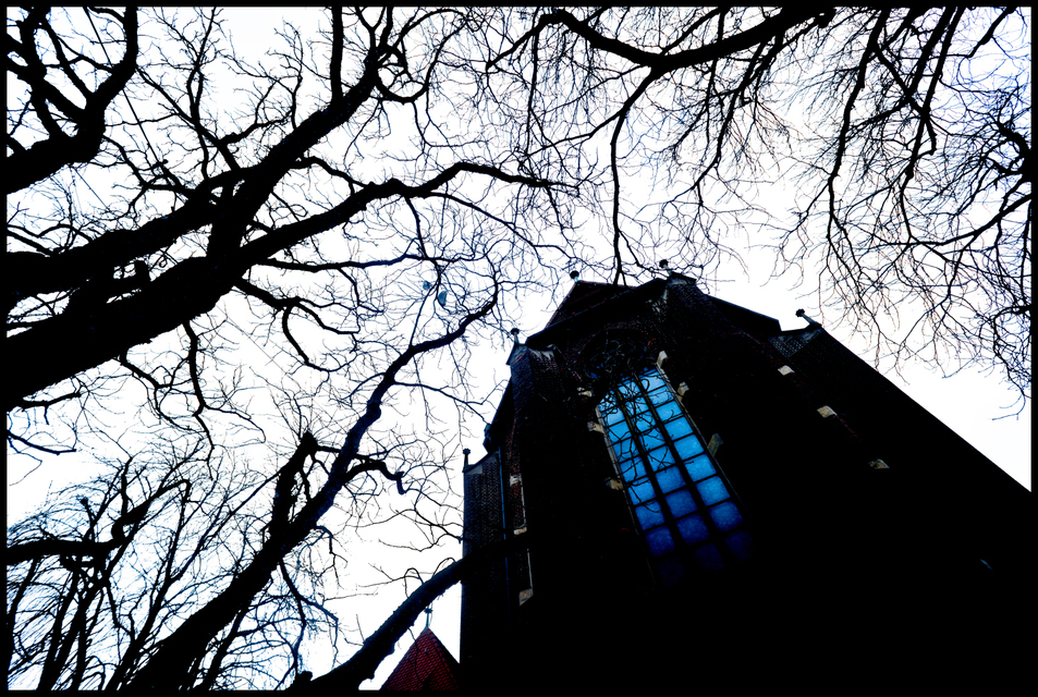 Blue Window - ID 004145