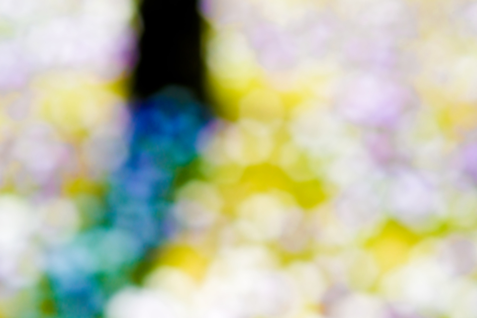 Flowers and Tree II - ID 004158