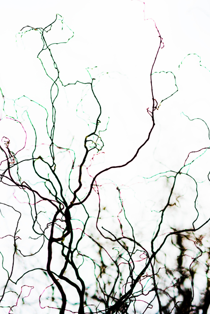 Late Color Winter I - ID 004198