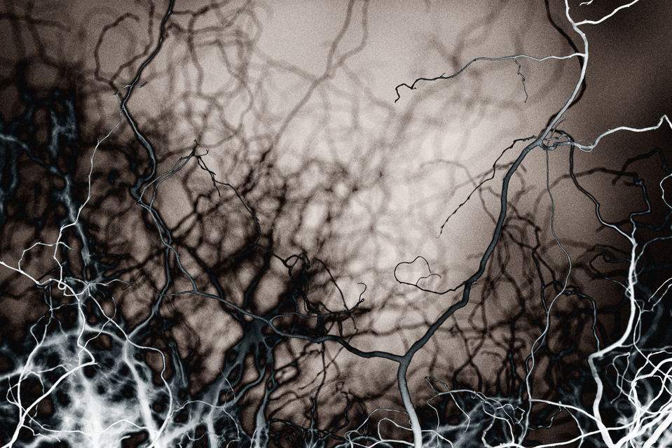 Mystic Winter - ID 004202