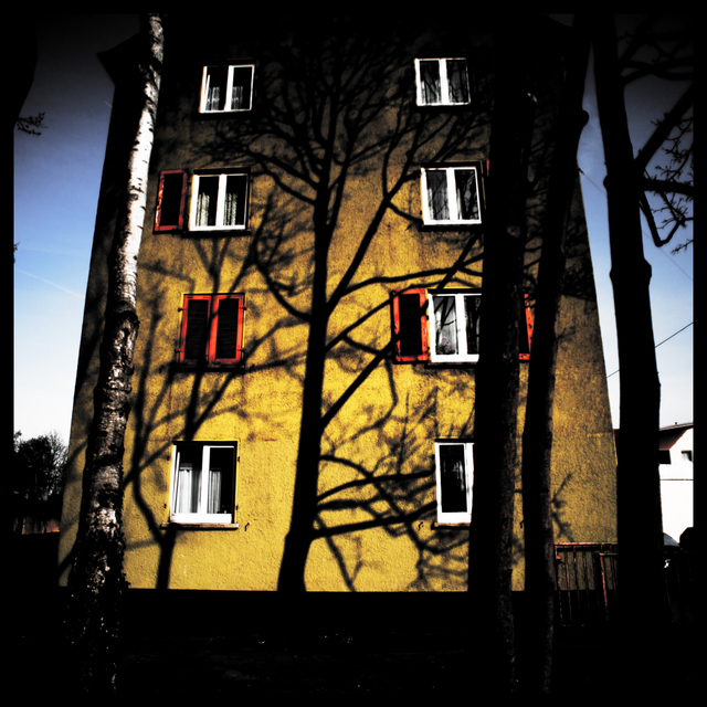 Shadow on Wall - ID 004230