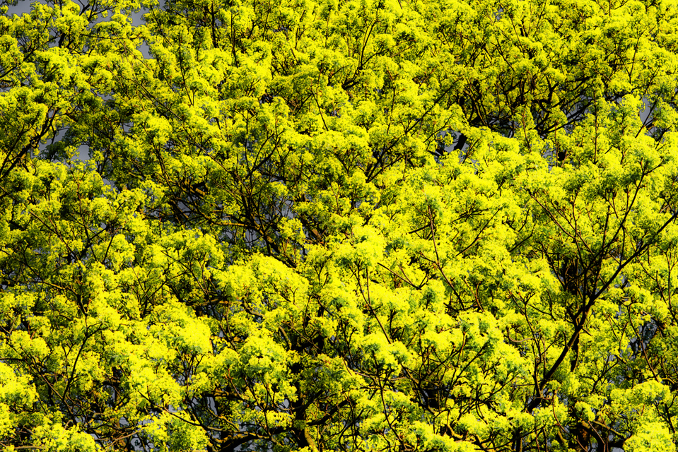 Filled Sky - ID 004234