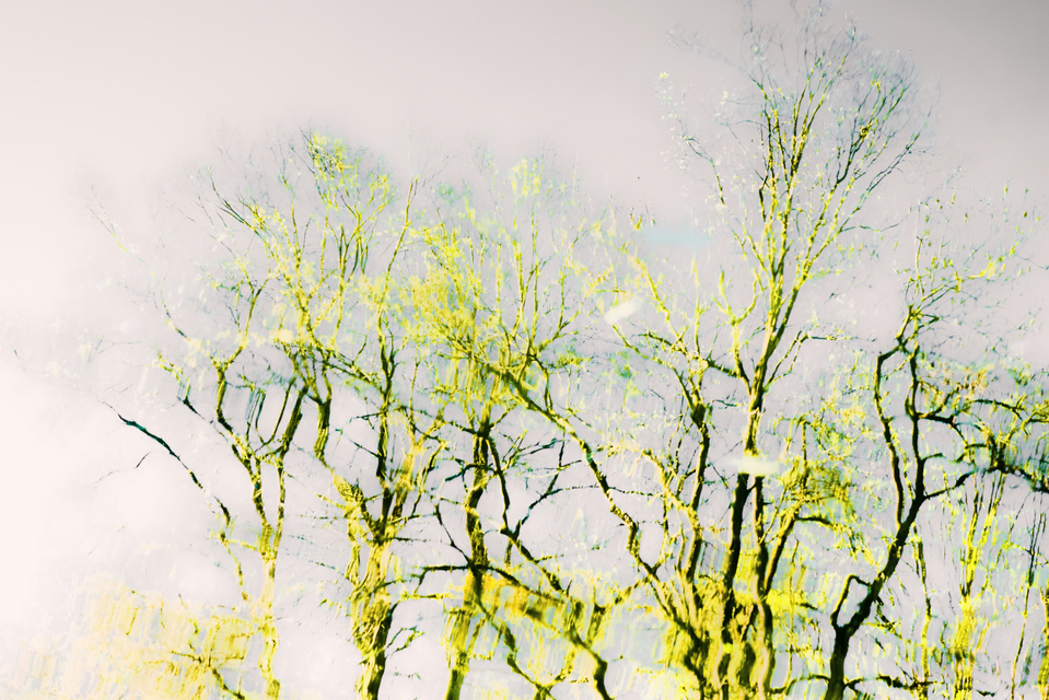 Water Mirrored I - ID 004238