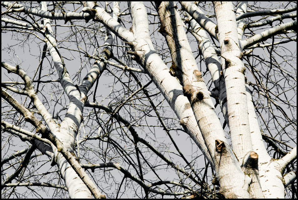 Lights and Shadows - ID 004240