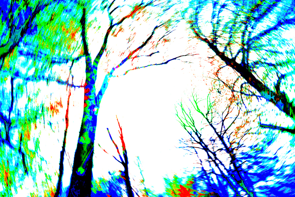 Summer Dreams - ID 004276