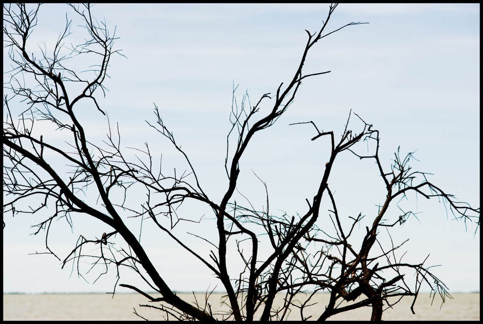 Water Front - ID 004369