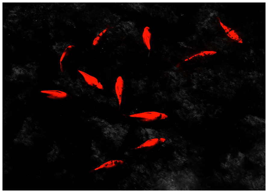 Submarine Football Team - ID 004398