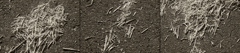 Lost Straws - ID 004414