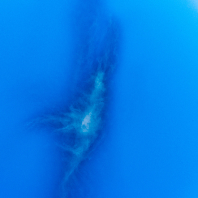 Waeve Cloud I - ID 004416