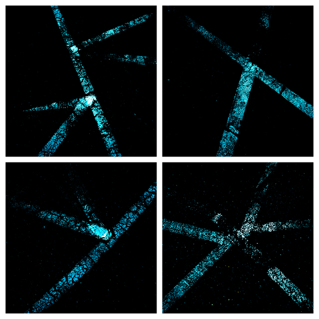 Street Art XIII - ID 004504